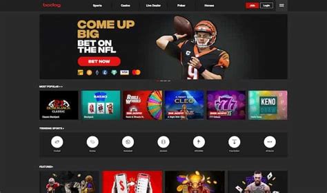 nhl futures bodog|Online Sports Betting .